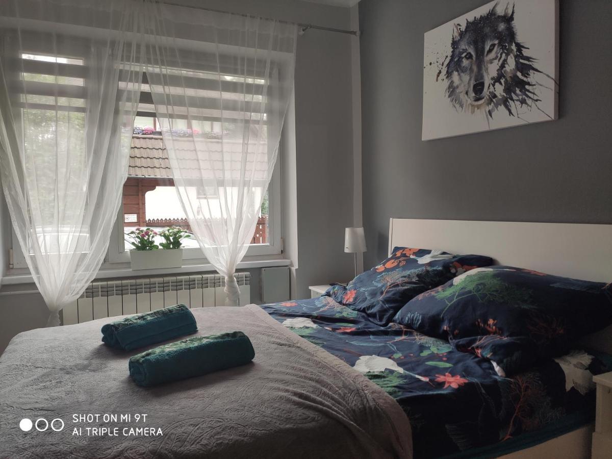 Apartament Tygrys Zakopane Dış mekan fotoğraf