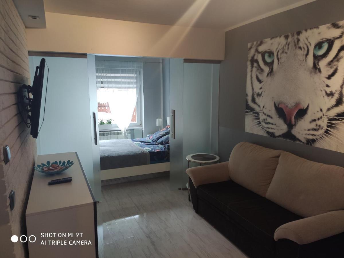 Apartament Tygrys Zakopane Dış mekan fotoğraf