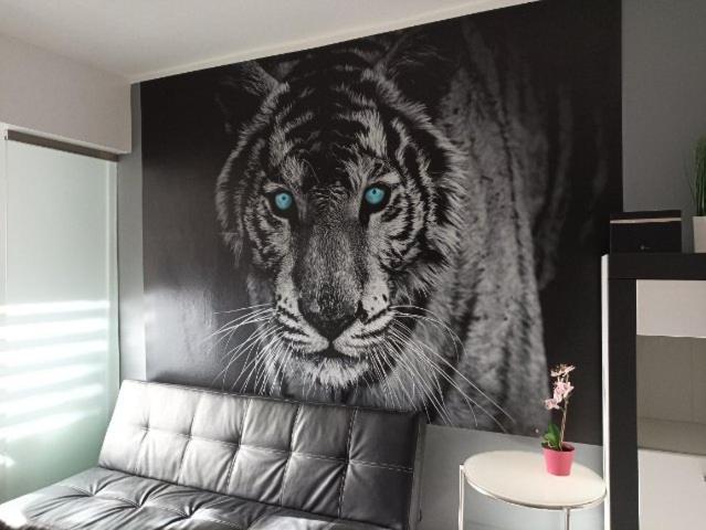 Apartament Tygrys Zakopane Dış mekan fotoğraf